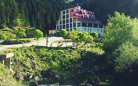 Hotel Green Valley Savsat